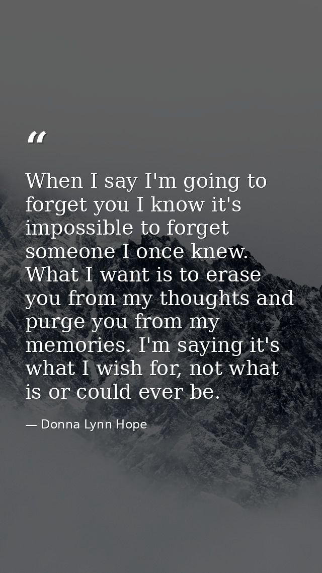 When I say I'm going to forget you I know it's impossible to forget someone I once knew. What I want is to erase you fro — Donna Lynn Hope