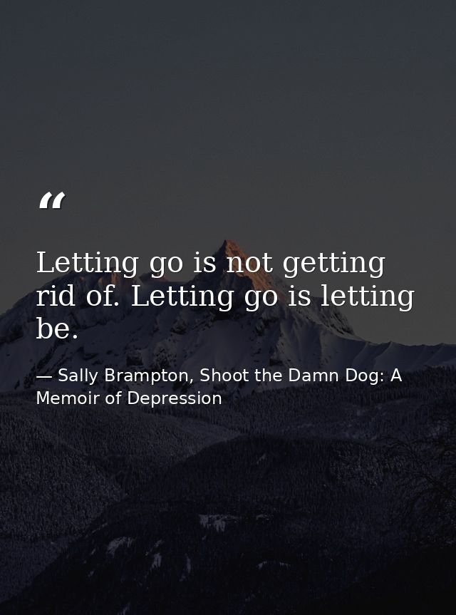 Letting go is not getting rid of. Letting go is letting be. — Sally Brampton, Shoot the Damn Dog: A Memoir of Depression