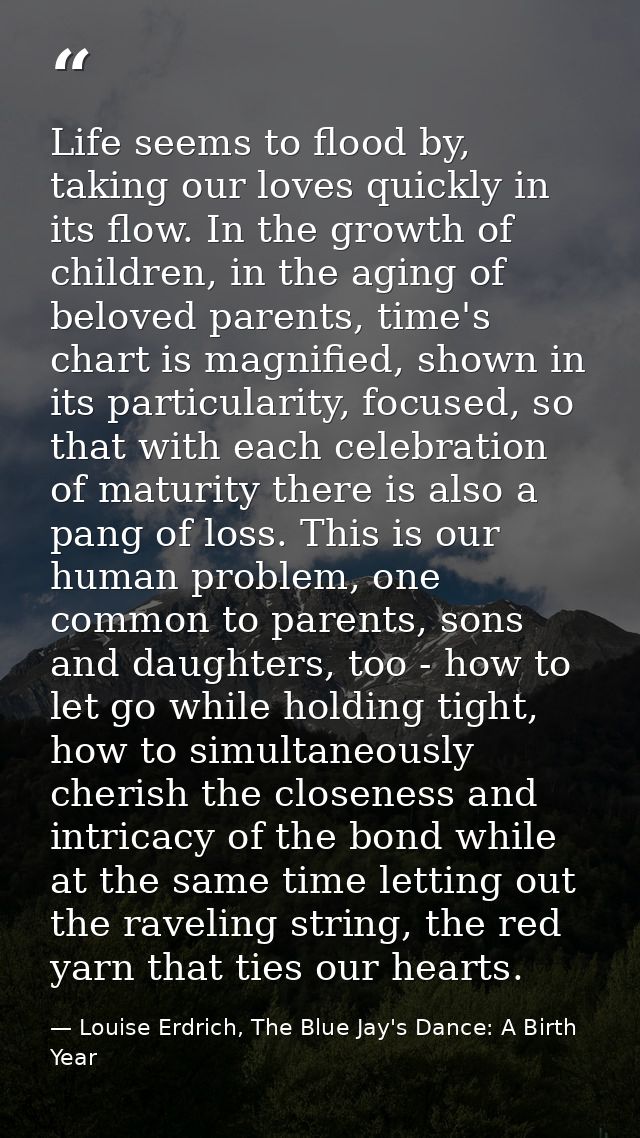 Life seems to flood by, taking our loves quickly in its flow. In the growth of children, in the aging of beloved parents — Louise Erdrich, The Blue Jay's Dance: A Birth Year