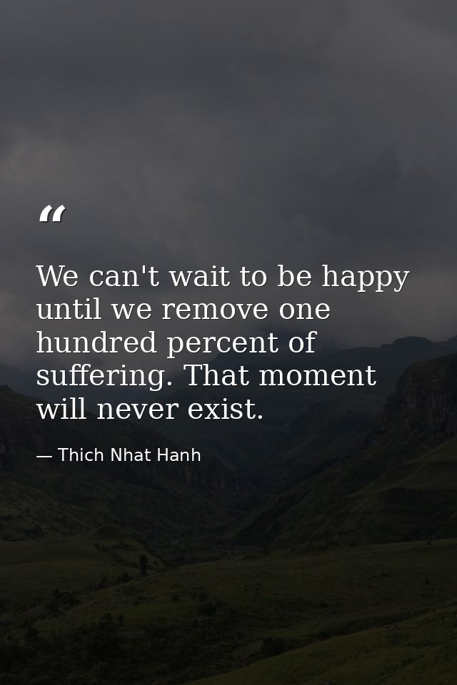 We can't wait to be happy until we remove one hundred percent of suffering. That moment will never exist. — Thich Nhat Hanh
