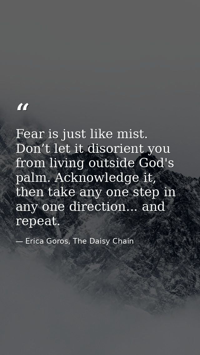 Fear is just like mist. Don’t let it disorient you from living outside God's palm. Acknowledge it, then take any one ste — Erica Goros, The Daisy Chain