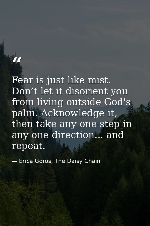 Fear is just like mist. Don’t let it disorient you from living outside God's palm. Acknowledge it, then take any one ste — Erica Goros, The Daisy Chain