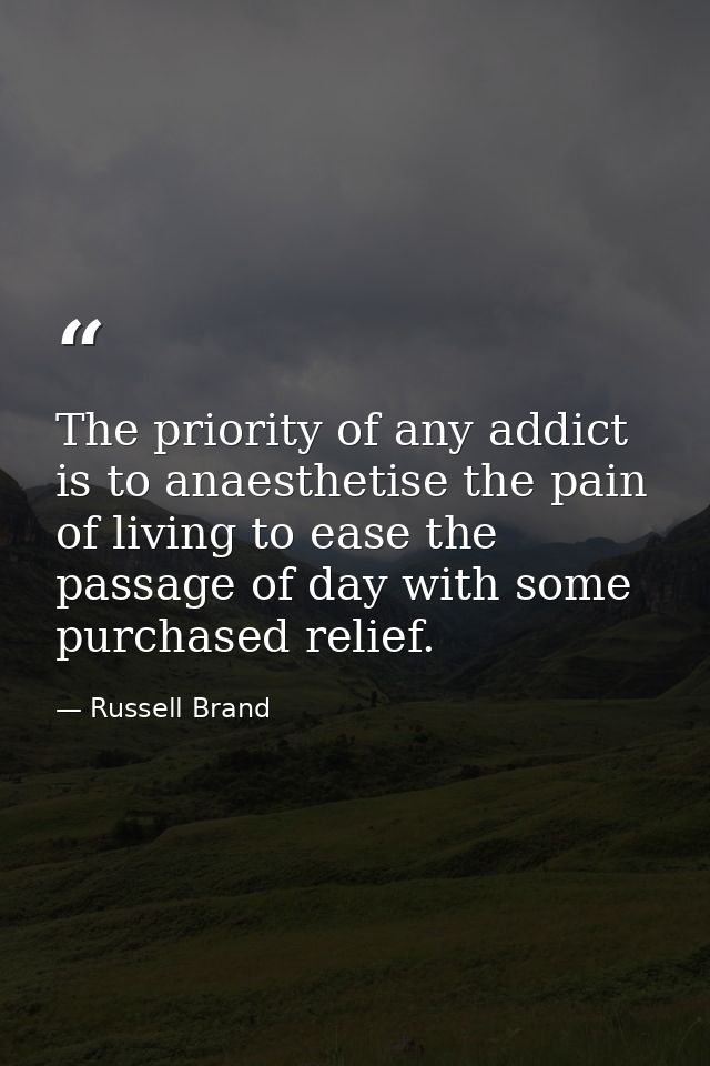 The priority of any addict is to anaesthetise the pain of living to ease the passage of day with some purchased relief. — Russell Brand