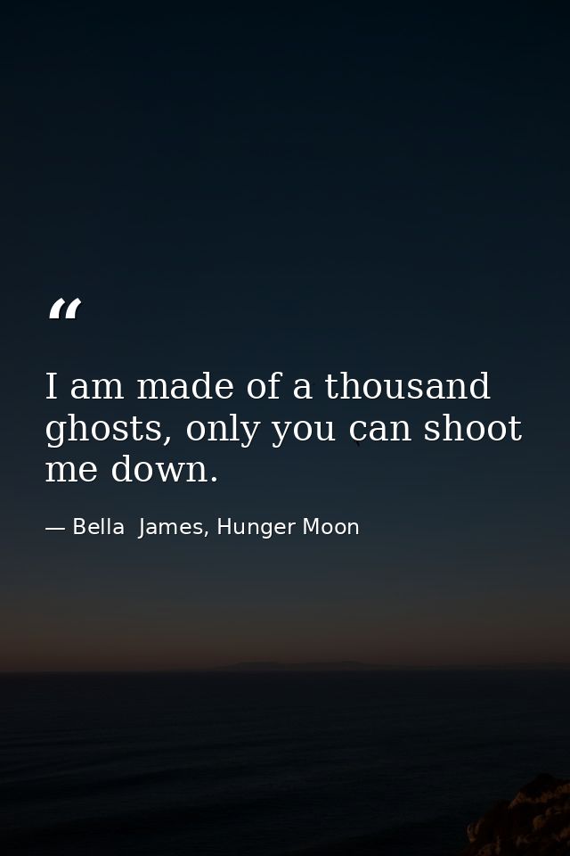 I am made of a thousand ghosts, only you can shoot me down. — Bella  James, Hunger Moon