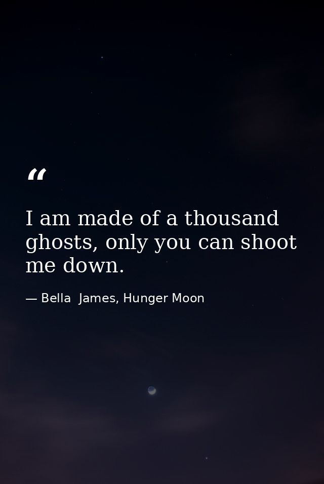 I am made of a thousand ghosts, only you can shoot me down. — Bella  James, Hunger Moon