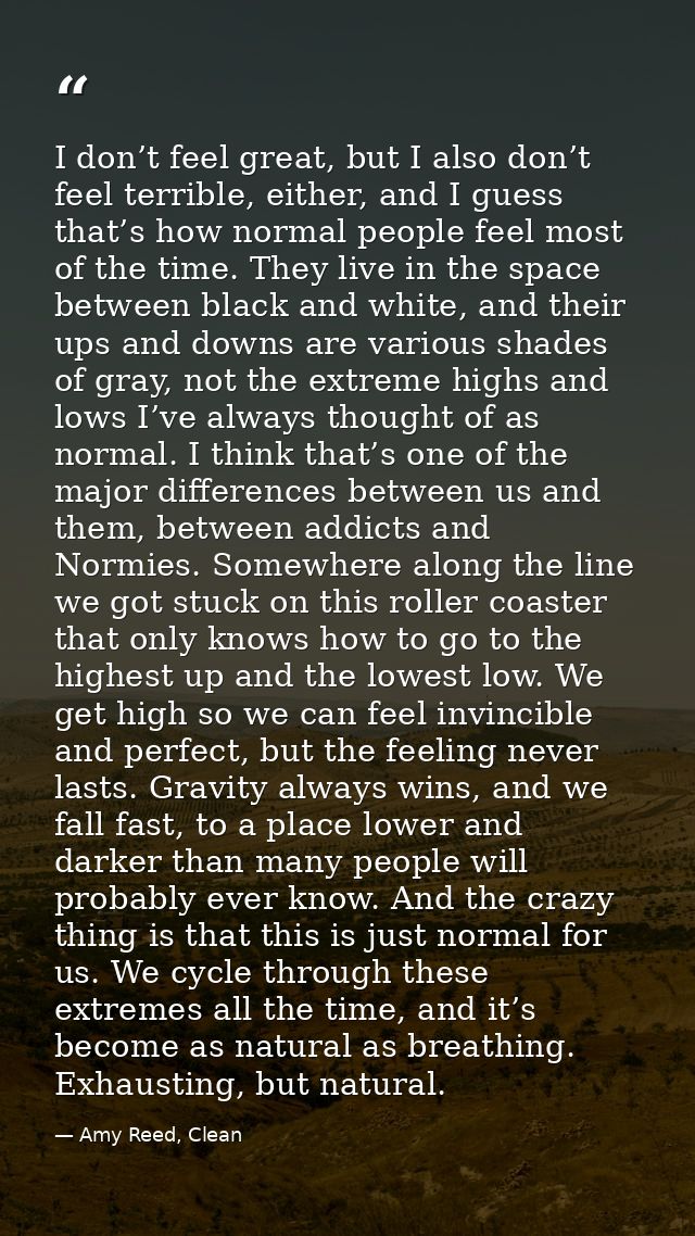 I don’t feel great, but I also don’t feel terrible, either, and I guess that’s how normal people feel most of the time.  — Amy Reed, Clean