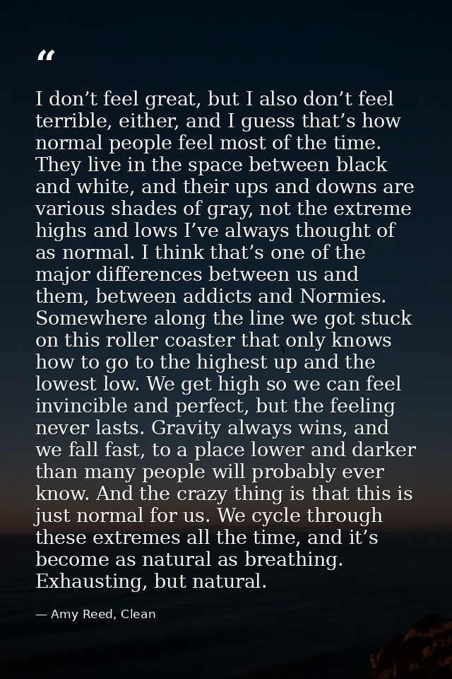 I don’t feel great, but I also don’t feel terrible, either, and I guess that’s how normal people feel most of the time.  — Amy Reed, Clean