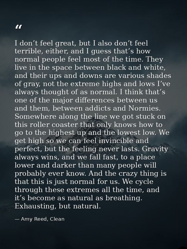 I don’t feel great, but I also don’t feel terrible, either, and I guess that’s how normal people feel most of the time.  — Amy Reed, Clean