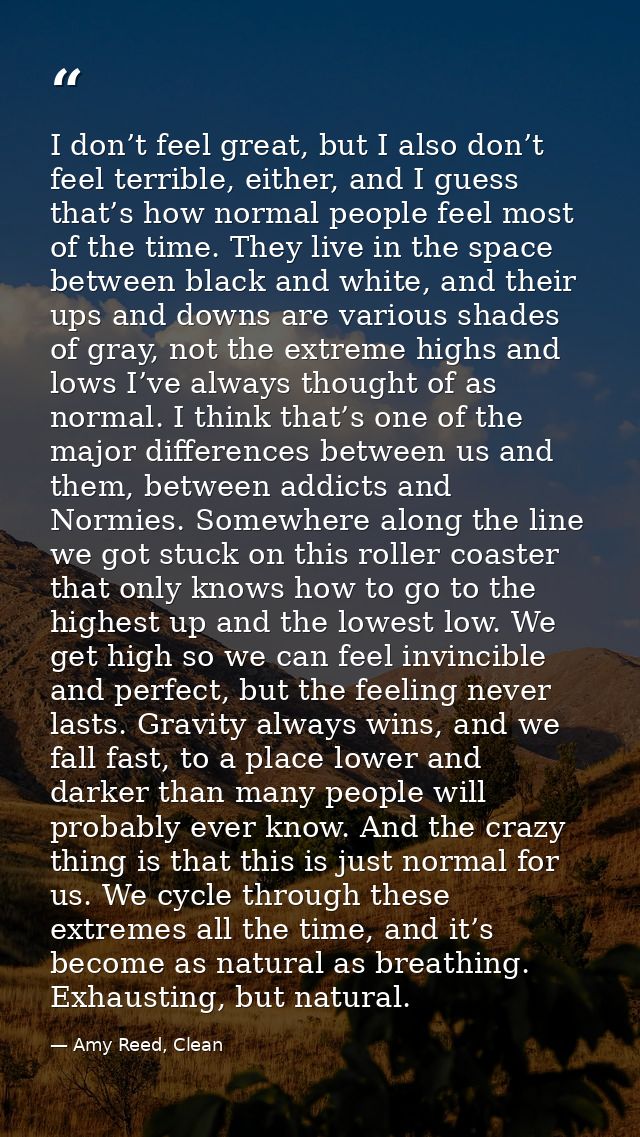 I don’t feel great, but I also don’t feel terrible, either, and I guess that’s how normal people feel most of the time.  — Amy Reed, Clean