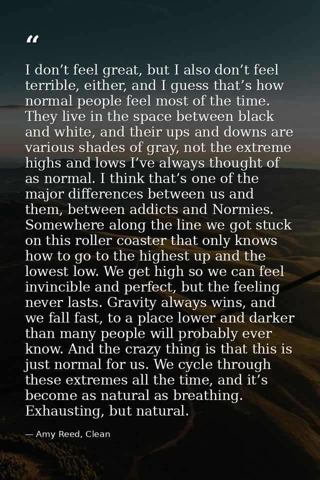I don’t feel great, but I also don’t feel terrible, either, and I guess that’s how normal people feel most of the time.  — Amy Reed, Clean