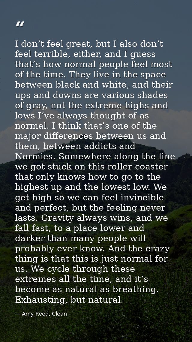 I don’t feel great, but I also don’t feel terrible, either, and I guess that’s how normal people feel most of the time.  — Amy Reed, Clean