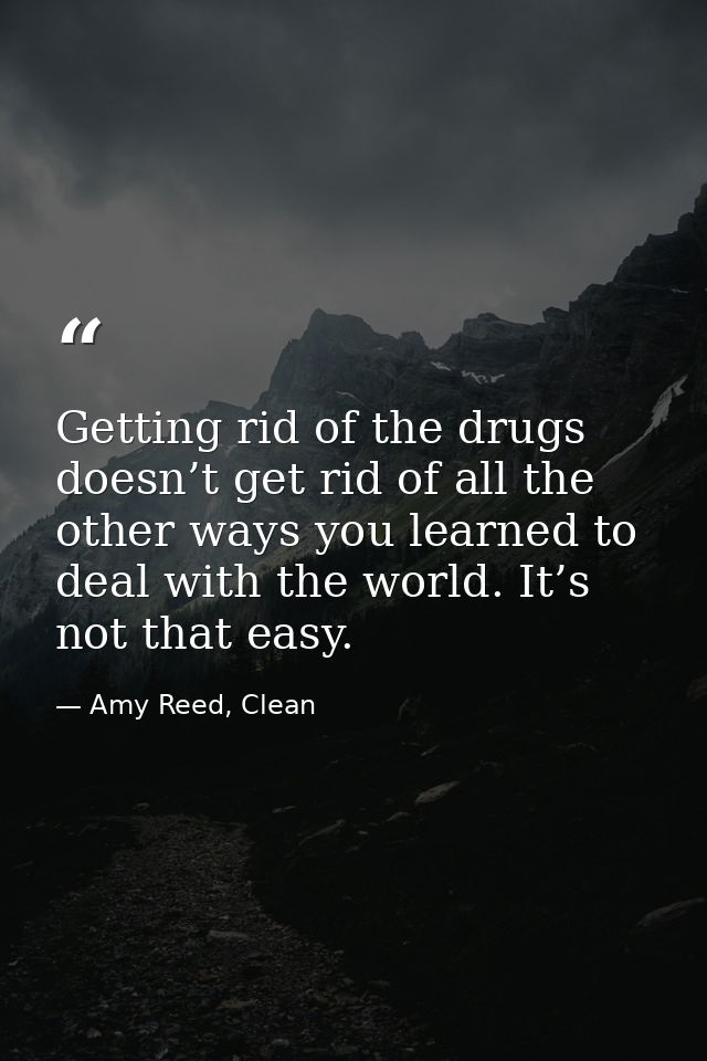 Getting rid of the drugs doesn’t get rid of all the other ways you learned to deal with the world. It’s not that easy. — Amy Reed, Clean