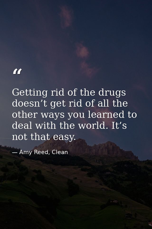 Getting rid of the drugs doesn’t get rid of all the other ways you learned to deal with the world. It’s not that easy. — Amy Reed, Clean