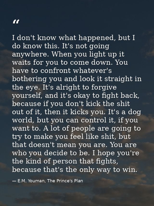 I don't know what happened, but I do know this. It's not going anywhere. When you light up it waits for you to come down — E.M. Youman, The Prince's Plan