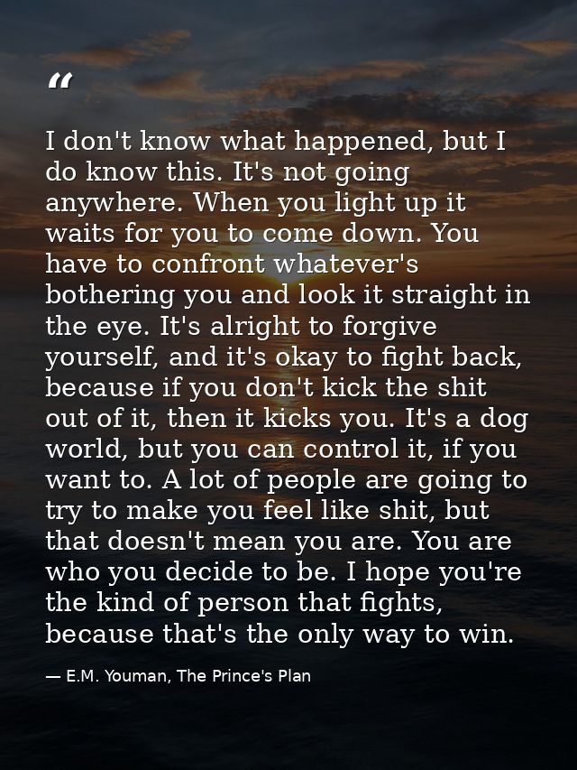I don't know what happened, but I do know this. It's not going anywhere. When you light up it waits for you to come down — E.M. Youman, The Prince's Plan