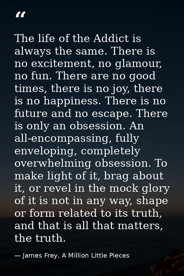 The life of the Addict is always the same. There is no excitement, no glamour, no fun. There are no good times, there is — James Frey, A Million Little Pieces