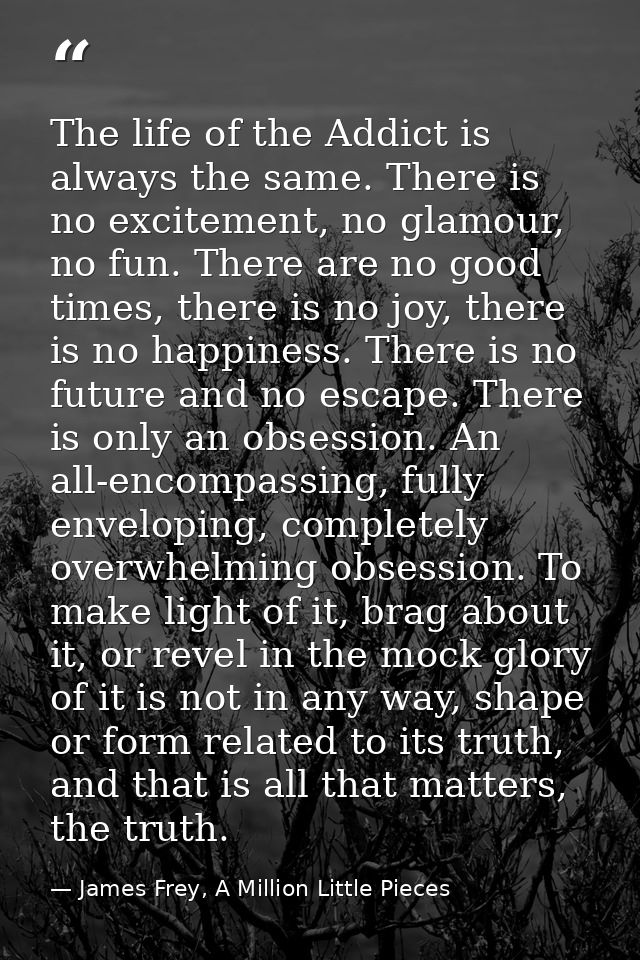 The life of the Addict is always the same. There is no excitement, no glamour, no fun. There are no good times, there is — James Frey, A Million Little Pieces