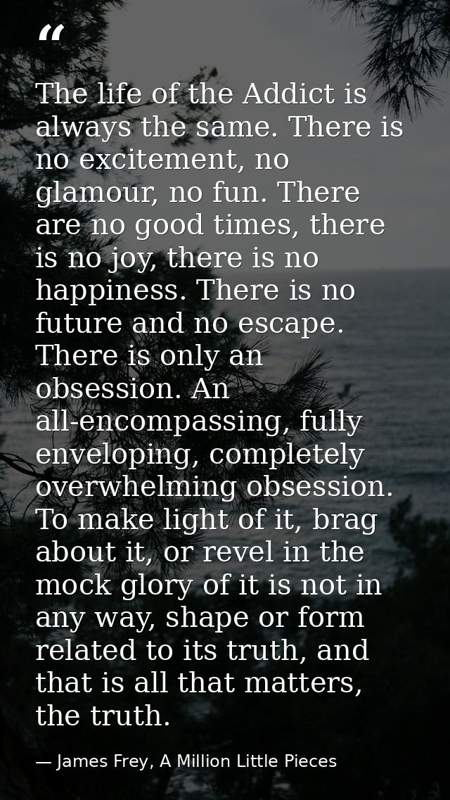 The life of the Addict is always the same. There is no excitement, no glamour, no fun. There are no good times, there is — James Frey, A Million Little Pieces