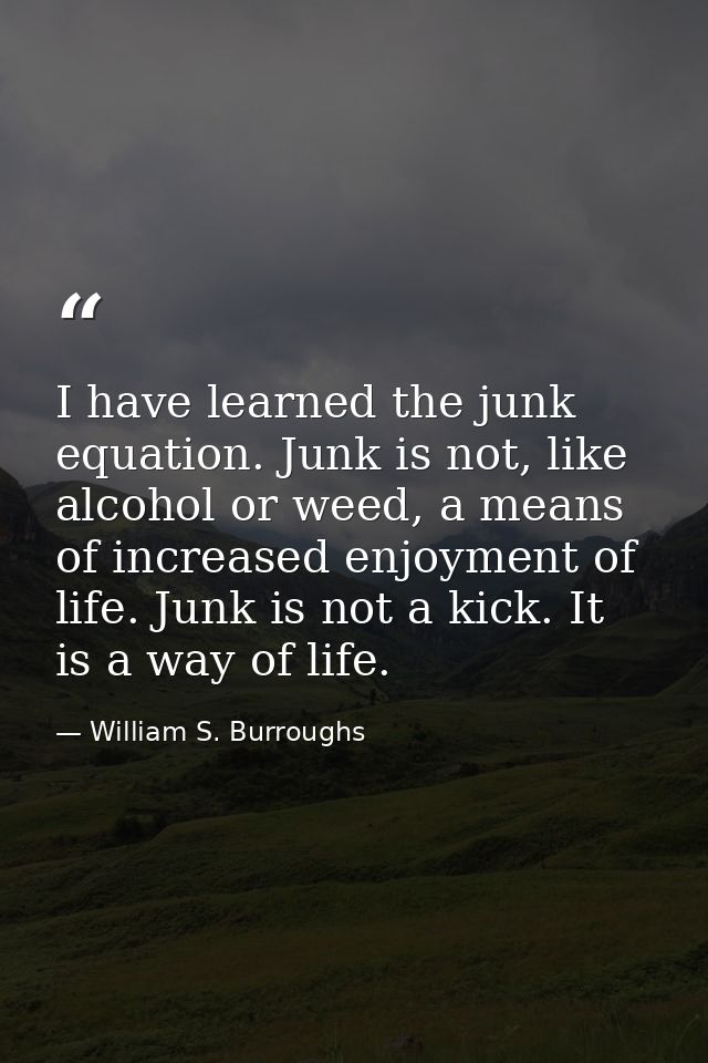 I have learned the junk equation. Junk is not, like alcohol or weed, a means of increased enjoyment of life. Junk is not — William S. Burroughs
