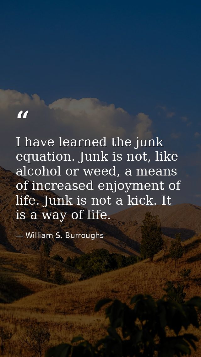 I have learned the junk equation. Junk is not, like alcohol or weed, a means of increased enjoyment of life. Junk is not — William S. Burroughs