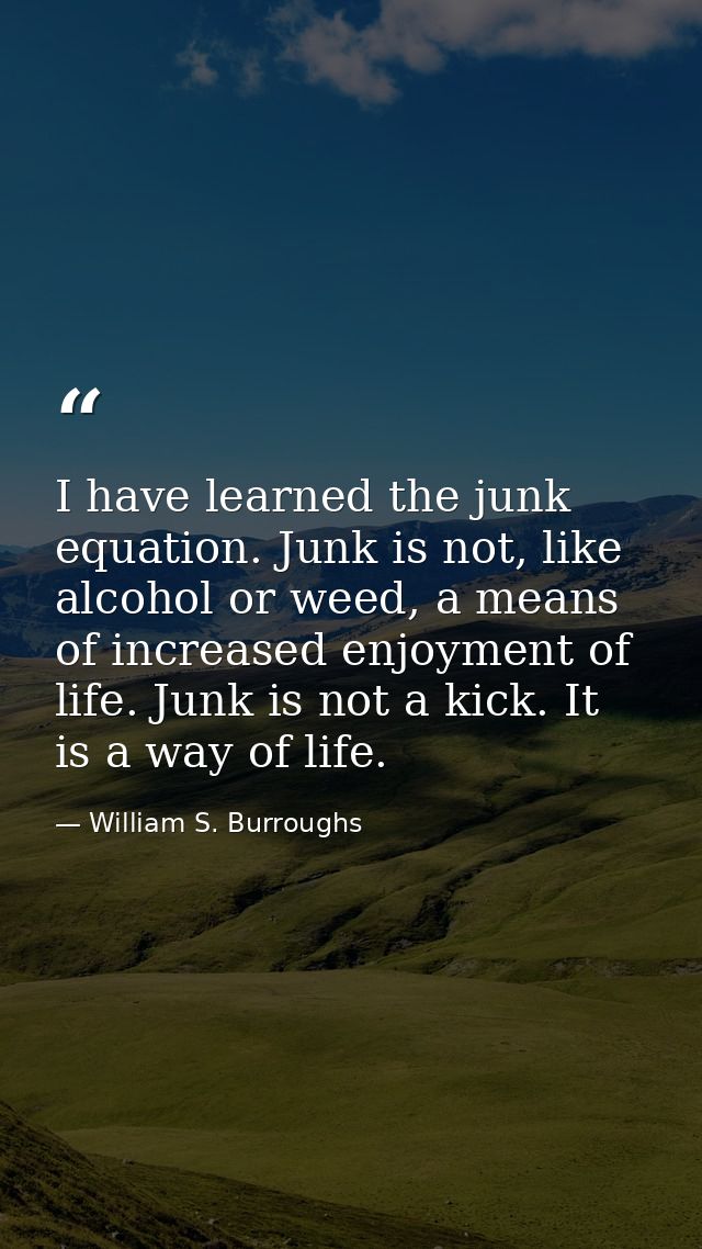 I have learned the junk equation. Junk is not, like alcohol or weed, a means of increased enjoyment of life. Junk is not — William S. Burroughs