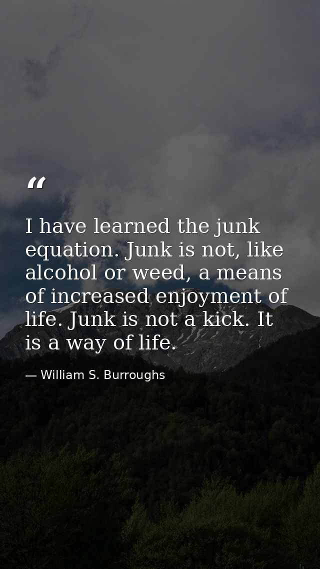 I have learned the junk equation. Junk is not, like alcohol or weed, a means of increased enjoyment of life. Junk is not — William S. Burroughs
