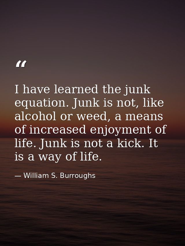 I have learned the junk equation. Junk is not, like alcohol or weed, a means of increased enjoyment of life. Junk is not — William S. Burroughs