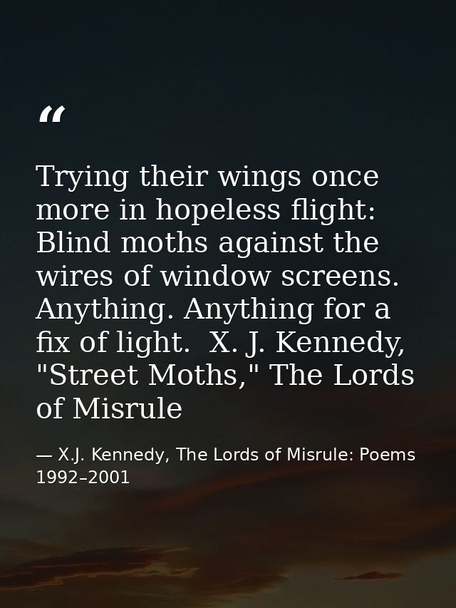 Trying their wings once more in hopeless flight: Blind moths against the wires of window screens. Anything. Anything for — X.J. Kennedy, The Lords of Misrule: Poems 1992–2001