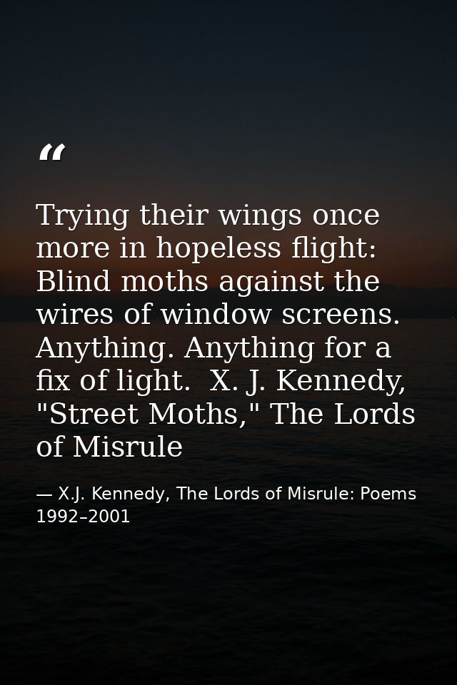Trying their wings once more in hopeless flight: Blind moths against the wires of window screens. Anything. Anything for — X.J. Kennedy, The Lords of Misrule: Poems 1992–2001