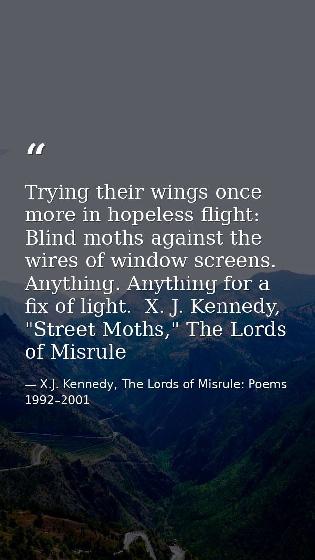 Trying their wings once more in hopeless flight: Blind moths against the wires of window screens. Anything. Anything for — X.J. Kennedy, The Lords of Misrule: Poems 1992–2001