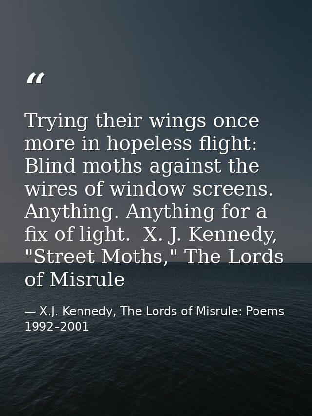 Trying their wings once more in hopeless flight: Blind moths against the wires of window screens. Anything. Anything for — X.J. Kennedy, The Lords of Misrule: Poems 1992–2001