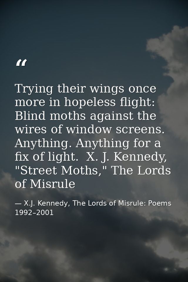 Trying their wings once more in hopeless flight: Blind moths against the wires of window screens. Anything. Anything for — X.J. Kennedy, The Lords of Misrule: Poems 1992–2001