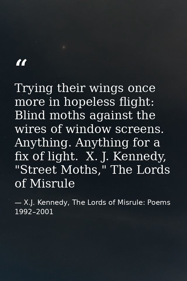 Trying their wings once more in hopeless flight: Blind moths against the wires of window screens. Anything. Anything for — X.J. Kennedy, The Lords of Misrule: Poems 1992–2001