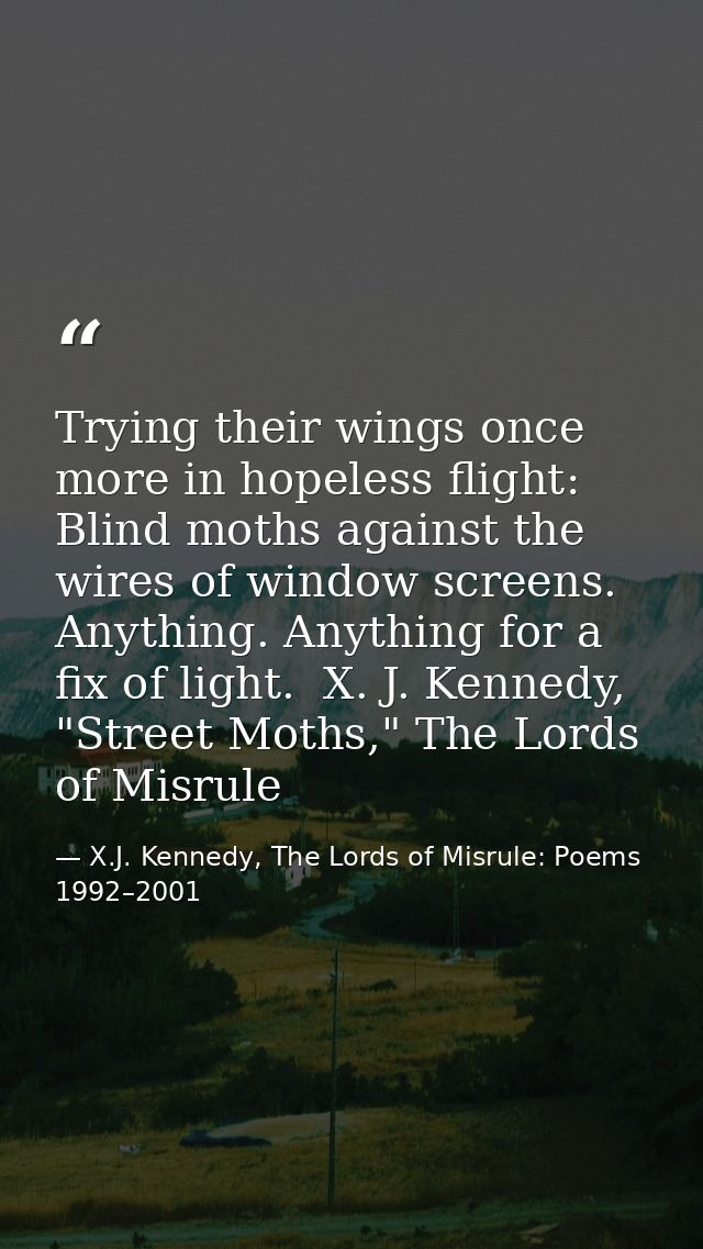 Trying their wings once more in hopeless flight: Blind moths against the wires of window screens. Anything. Anything for — X.J. Kennedy, The Lords of Misrule: Poems 1992–2001
