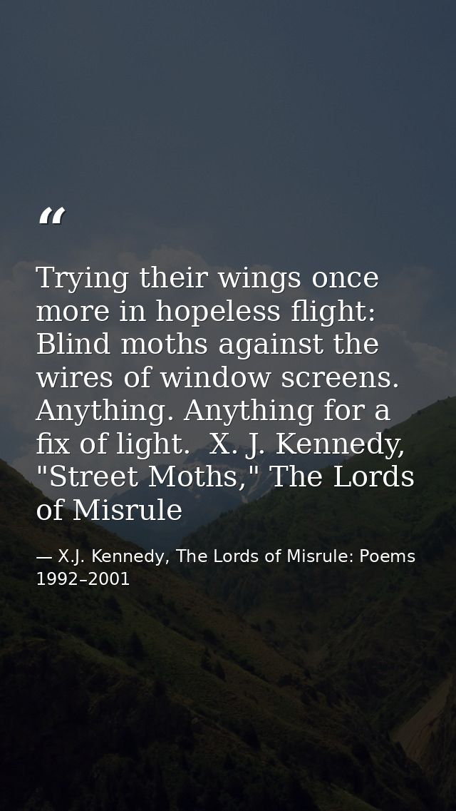 Trying their wings once more in hopeless flight: Blind moths against the wires of window screens. Anything. Anything for — X.J. Kennedy, The Lords of Misrule: Poems 1992–2001