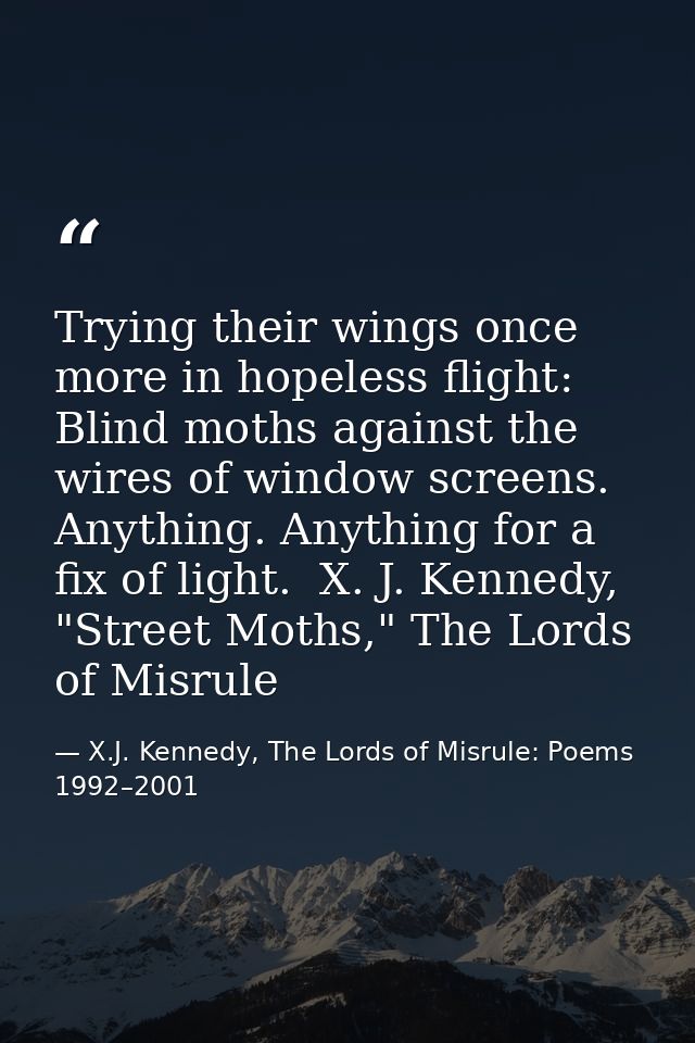 Trying their wings once more in hopeless flight: Blind moths against the wires of window screens. Anything. Anything for — X.J. Kennedy, The Lords of Misrule: Poems 1992–2001