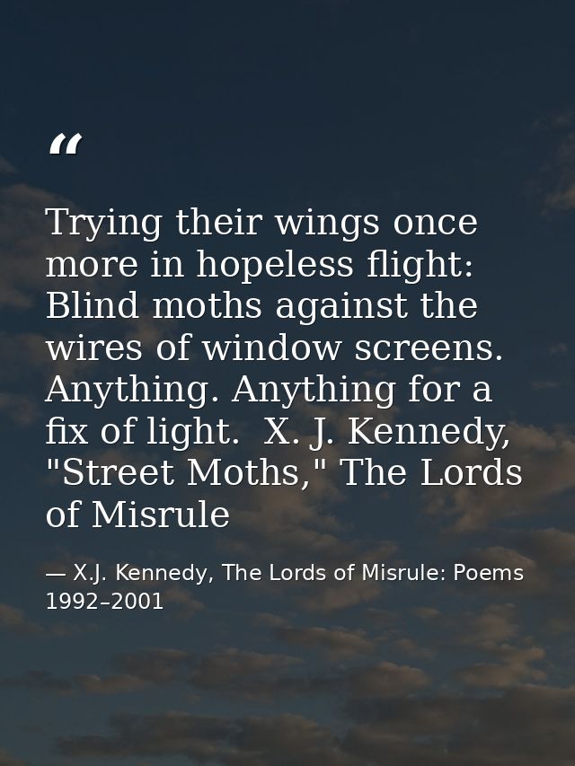 Trying their wings once more in hopeless flight: Blind moths against the wires of window screens. Anything. Anything for — X.J. Kennedy, The Lords of Misrule: Poems 1992–2001