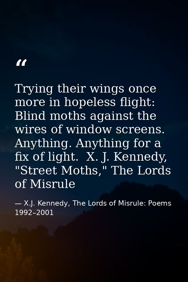Trying their wings once more in hopeless flight: Blind moths against the wires of window screens. Anything. Anything for — X.J. Kennedy, The Lords of Misrule: Poems 1992–2001
