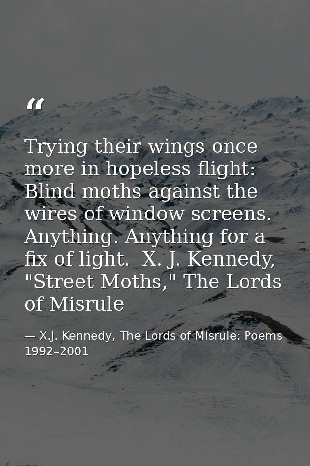 Trying their wings once more in hopeless flight: Blind moths against the wires of window screens. Anything. Anything for — X.J. Kennedy, The Lords of Misrule: Poems 1992–2001