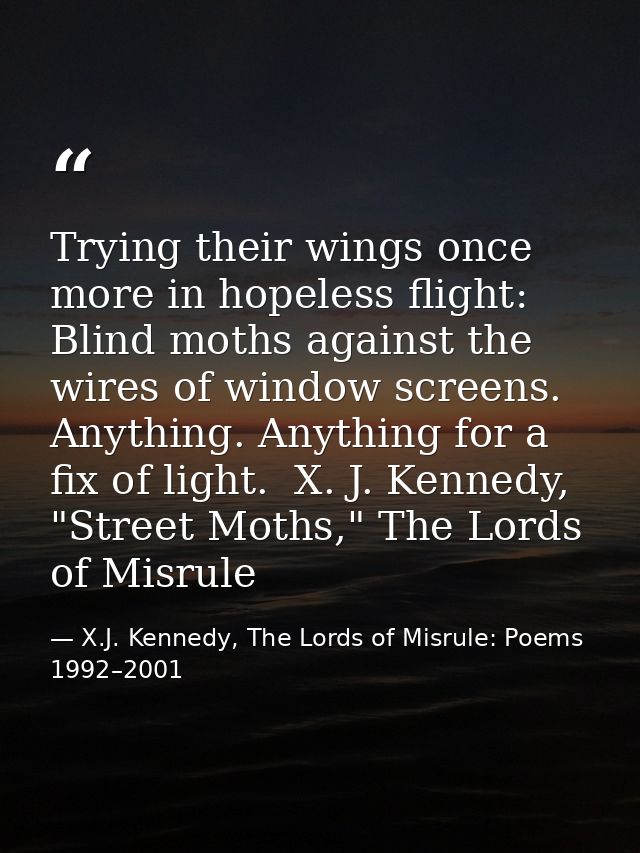 Trying their wings once more in hopeless flight: Blind moths against the wires of window screens. Anything. Anything for — X.J. Kennedy, The Lords of Misrule: Poems 1992–2001