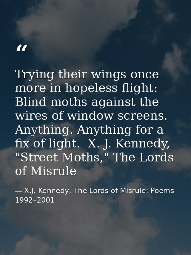 Trying their wings once more in hopeless flight: Blind moths against the wires of window screens. Anything. Anything for — X.J. Kennedy, The Lords of Misrule: Poems 1992–2001