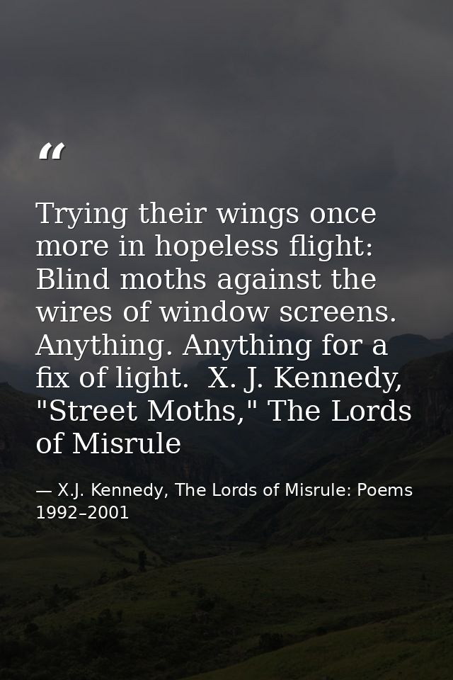 Trying their wings once more in hopeless flight: Blind moths against the wires of window screens. Anything. Anything for — X.J. Kennedy, The Lords of Misrule: Poems 1992–2001