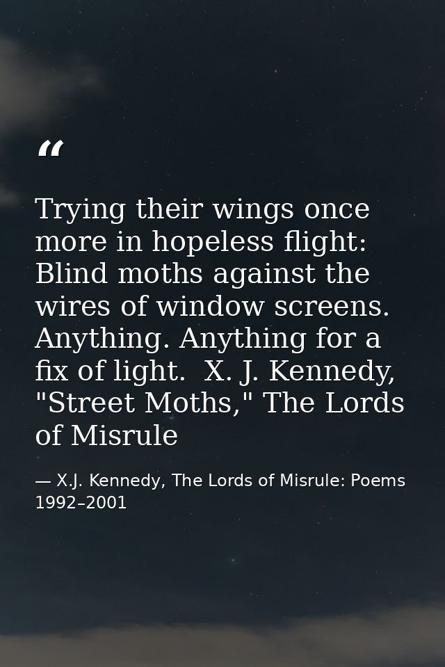Trying their wings once more in hopeless flight: Blind moths against the wires of window screens. Anything. Anything for — X.J. Kennedy, The Lords of Misrule: Poems 1992–2001
