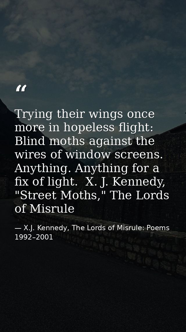 Trying their wings once more in hopeless flight: Blind moths against the wires of window screens. Anything. Anything for — X.J. Kennedy, The Lords of Misrule: Poems 1992–2001