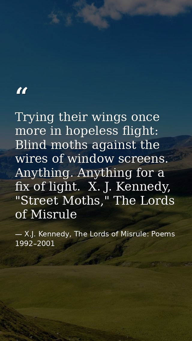 Trying their wings once more in hopeless flight: Blind moths against the wires of window screens. Anything. Anything for — X.J. Kennedy, The Lords of Misrule: Poems 1992–2001