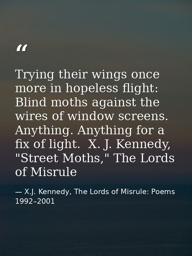 Trying their wings once more in hopeless flight: Blind moths against the wires of window screens. Anything. Anything for — X.J. Kennedy, The Lords of Misrule: Poems 1992–2001
