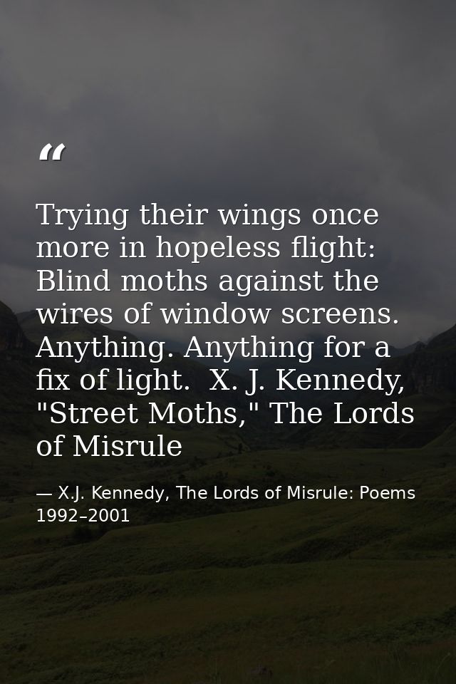 Trying their wings once more in hopeless flight: Blind moths against the wires of window screens. Anything. Anything for — X.J. Kennedy, The Lords of Misrule: Poems 1992–2001