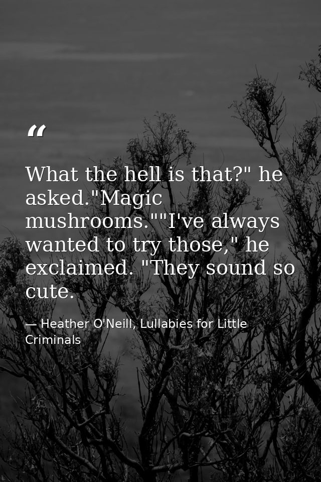 What the hell is that?" he asked."Magic mushrooms.""I've always wanted to try those," he exclaimed. "They sound so cute. — Heather O'Neill, Lullabies for Little Criminals