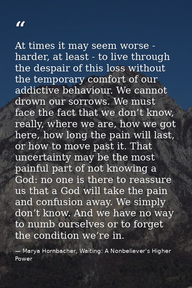 At times it may seem worse - harder, at least - to live through the despair of this loss without the temporary comfort o — Marya Hornbacher, Waiting: A Nonbeliever's Higher Power