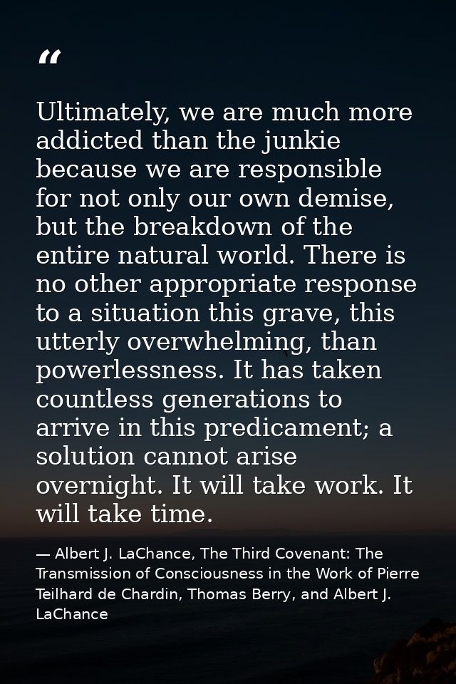 Ultimately, we are much more addicted than the junkie because we are responsible for not only our own demise, but the br — Albert J. LaChance, The Third Covenant: The Transmission of Consciousness in the Work of Pierre Teilhard de Chardin, Thomas Berry, and Albert J. LaChance